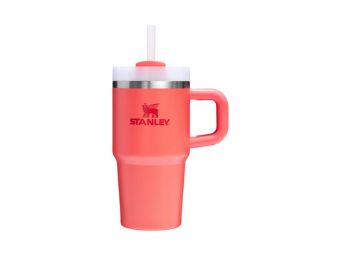 Stanley Quencher H2.O Tumbler 20oz - 0.59 L - CAFELAX