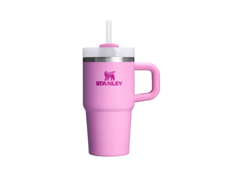 Stanley Quencher H2.O Tumbler 20oz - 0.59 L - CAFELAX