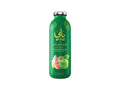 Nai Ginger Green Tea 370ml - CAFELAX