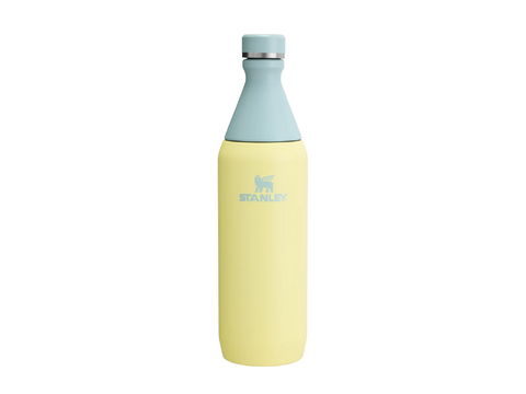 Stanley All Day Slim Bottle 20oz - 0.59 L - CAFELAX