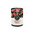 Casvaa Rosehip Tea 200g - CAFELAX