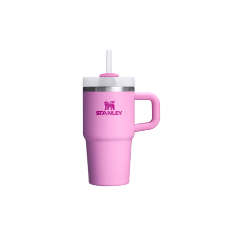 Stanley Quencher H2.O Tumbler 20oz - 0.59 L - CAFELAX