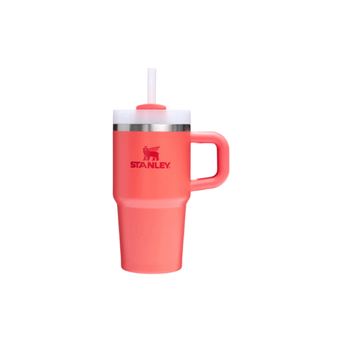 Stanley Quencher H2.O Tumbler 20oz - 0.59 L - CAFELAX