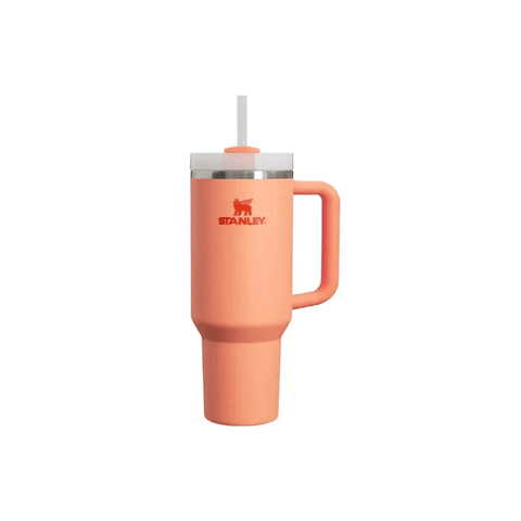 Stanley Quencher H2.O Tumbler 30oz - 0.88 L - CAFELAX