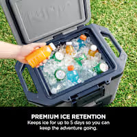 Ninja FrostVault 30QT/28L Hard Cooler
