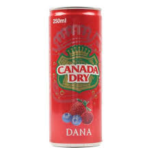 Canada Dry Dana Drink 250ml