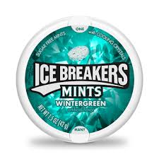 Ice Breakers Mints Wintergreen 42g